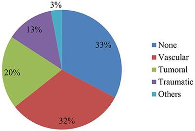 Frequency and Stratification of Epileptogenic Lesions in Elderly With New Onset Seizures